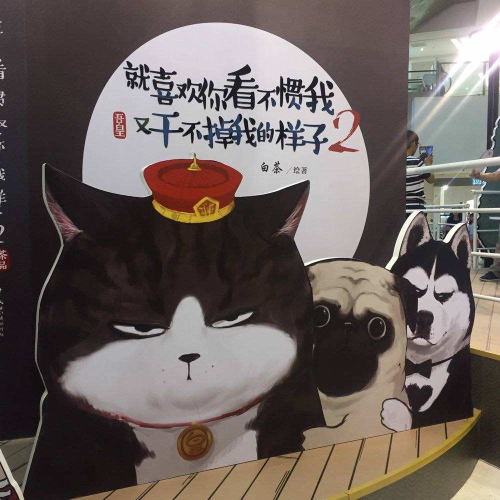 那只傲娇的猫……“吾皇万睡”商标被驳回复审了!