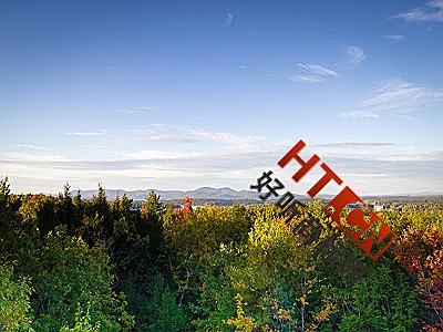 商标转让