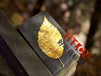 商标转让