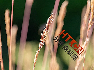 商标转让