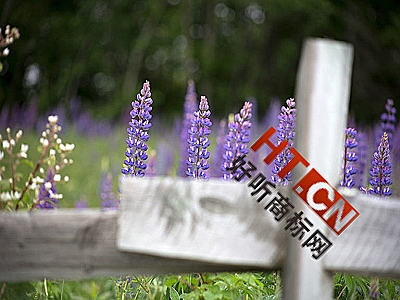 商标转让