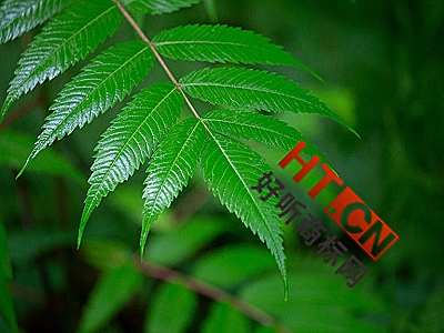 商标转让