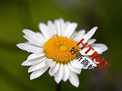 商标转让