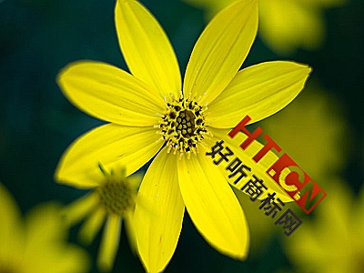 商标转让