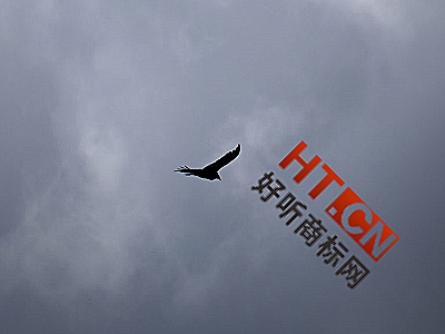 商标转让