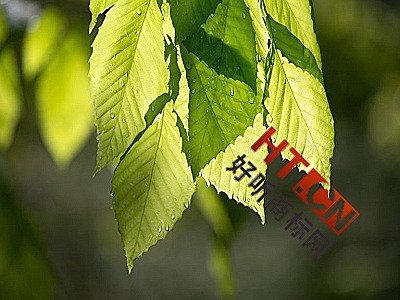 商标转让