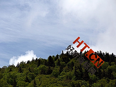 商标转让