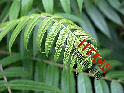 商标转让