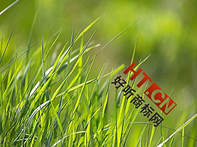 商标转让