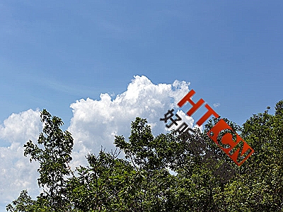 商标转让