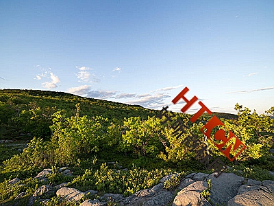 商标转让