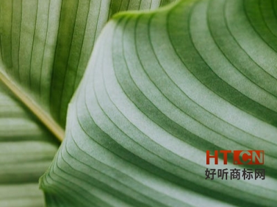 商标转让