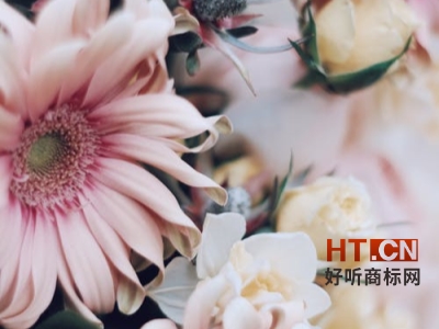 商标转让