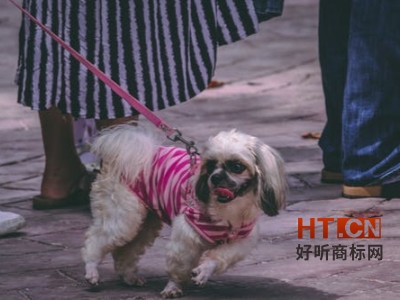 商标转让