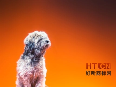 商标转让