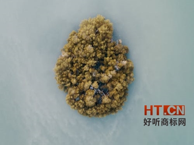 商标转让