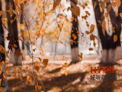 商标转让