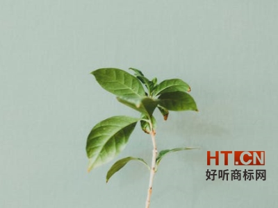 商标转让