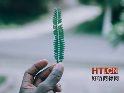 商标转让
