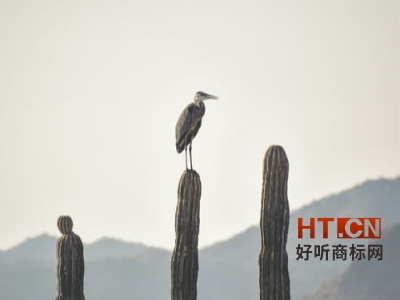 商标转让