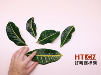商标转让