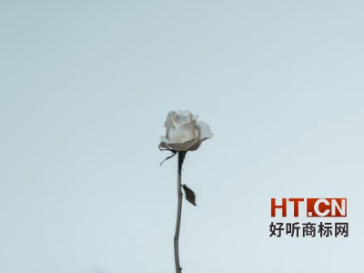 商标转让