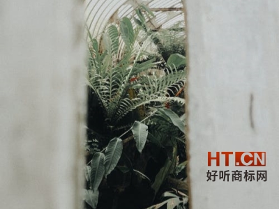 商标转让