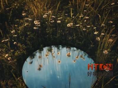 商标转让
