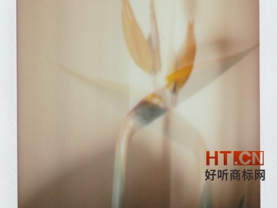商标转让