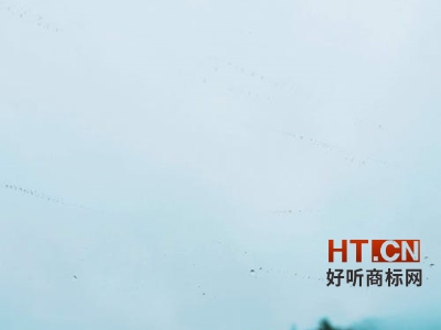 商标转让