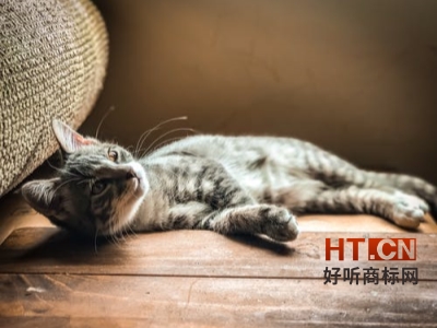 商标转让