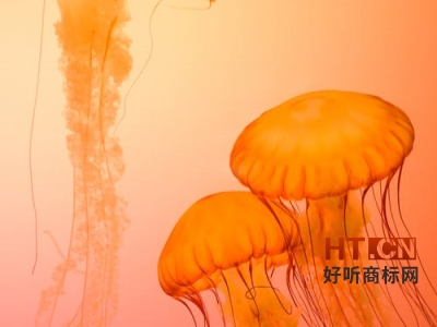 商标转让