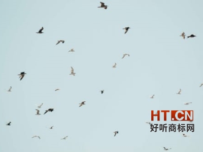 商标转让