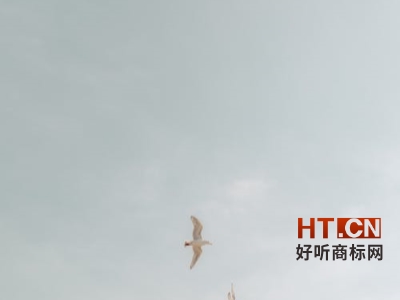 商标转让