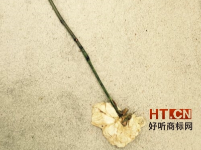 商标转让