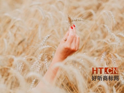 商标转让