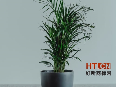 商标转让