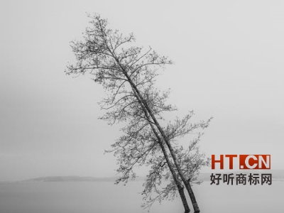 商标转让