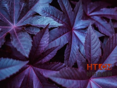 商标转让