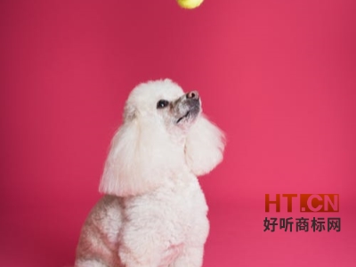 商标转让