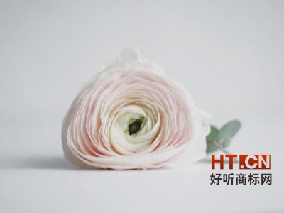 商标转让