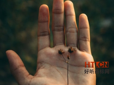 商标转让