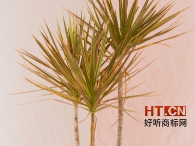 商标转让