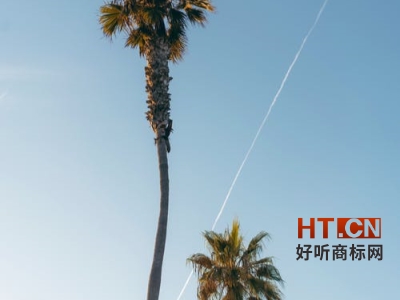 商标转让