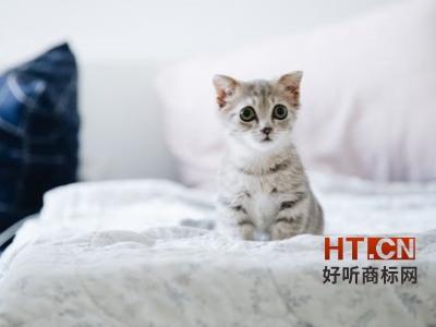 商标转让