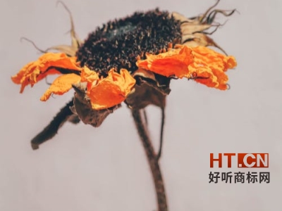 商标转让