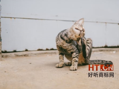 商标转让