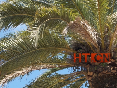 商标转让.jpg 商标转让