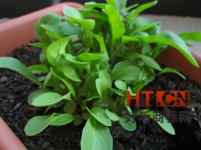 商标转让.jpg 商标转让