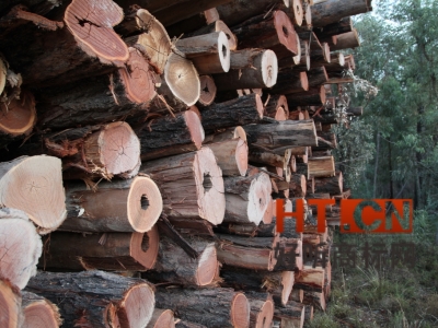 商标转让.jpg 商标转让